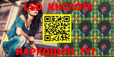 прущие грибы Кандалакша