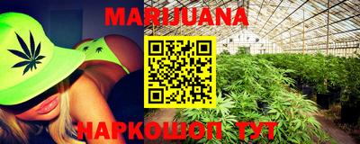 прущие грибы Кандалакша