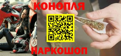 прущие грибы Кандалакша